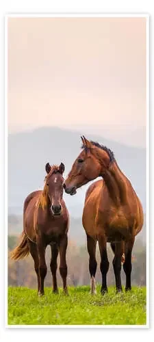 Brown Horses in a Meadow de Kidz Collection Editors Choice