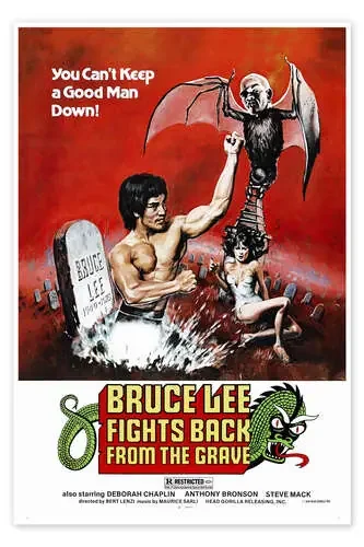 Bruce Lee Fights Back from the Grave de Vintage Entertainment Collection