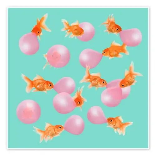 BUBBLEGUM GOLDFISH de Jonas Loose