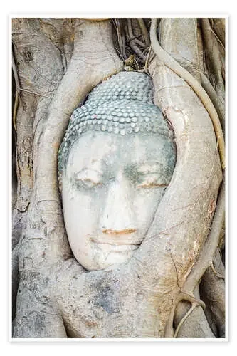 Buddha head behind tree trunk in Ayutthaya, Thailand Editors Choice