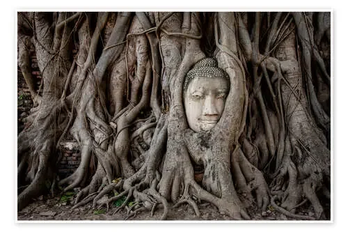 Buddha head in Ayutthaya de Sebastian Rost