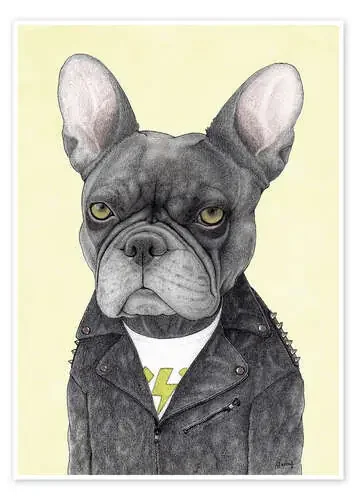 Bulldog francés rockero de Barruf