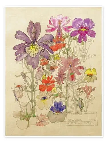 Butterfly Flower, Bowling (Flores como mariposas) de Charles Rennie Mackintosh Bridgeman Images