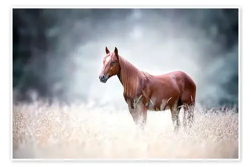Caballo de Bettina Dittmann