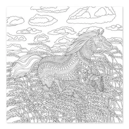 Caballo en el campo de trigo Editors Choice