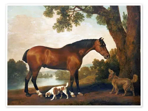 Caballo y dos perros de George Stubbs Bridgeman Images