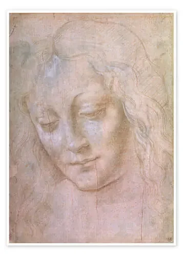 Cabeza de mujer de Leonardo da Vinci Bridgeman Images