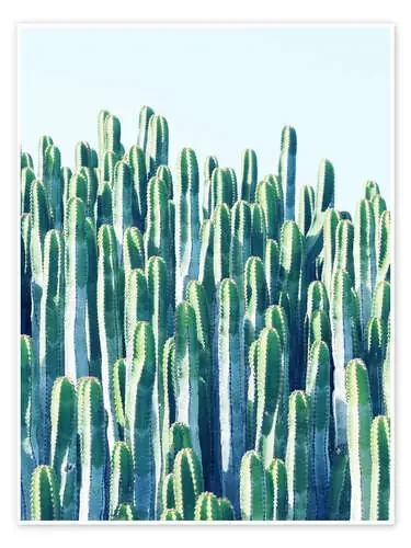 Cactus de 83 Oranges