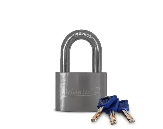 Cadenas acier 50 mm | Brico Depôt A Buon Prezzo
