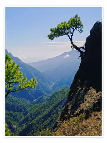 Caldera de Taburiente, La Palma Editors Choice