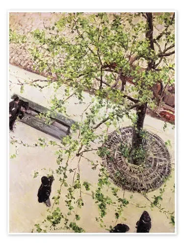 Calle desde arriba de Gustave Caillebotte Master Collection