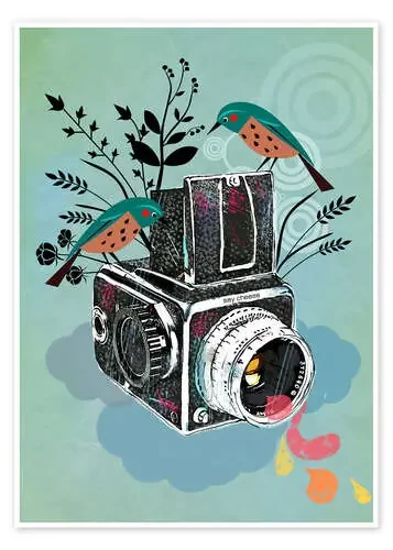 Camara vintage con pajaros de Taika Tori