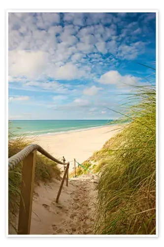 Camino estrecho hacia la playa Editors Choice