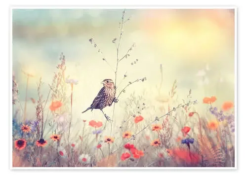 Campo con flores salvajes Editors Choice