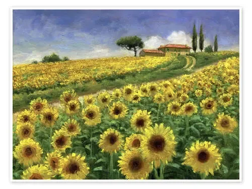 Campo de girasoles de Jay Hurst MGL Licensing