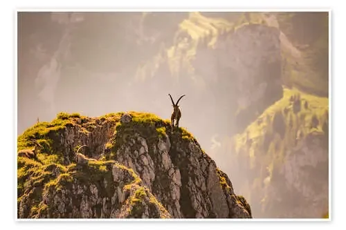 Capricorn in the Alps de Michael Helmer