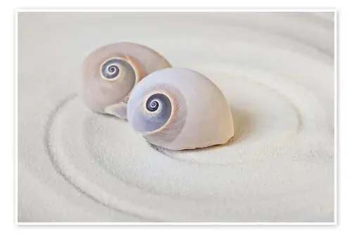 Caracolas zen de Andrea Haase Foto