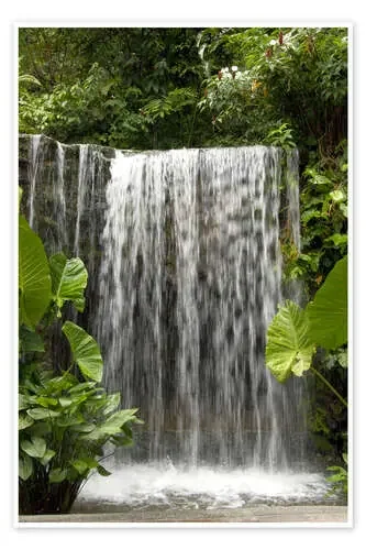 Cascada en el jardín de orquídeas de Cindy Miller Hopkins Danita Delimont