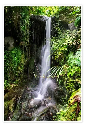 Cascada entre verde de Dennis Stracke