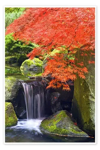 Cascada y arce japonés de Don Paulson Danita Delimont