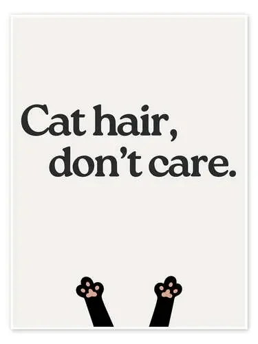 Cat hair, don‘t care de Typobox Editors Choice