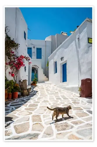 Cat in a greek village, Paros de Matteo Colombo