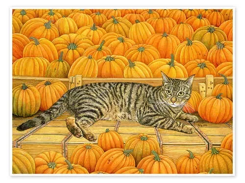 Cat in Pumpkin de Ditz Bridgeman Images