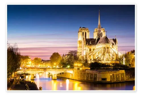 Catedral de Notre Dame en París de Matteo Colombo