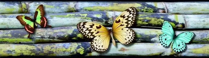 cenefa autoadhesiva mariposas gris, amarillo y azul de Sanders & Sanders – 600090