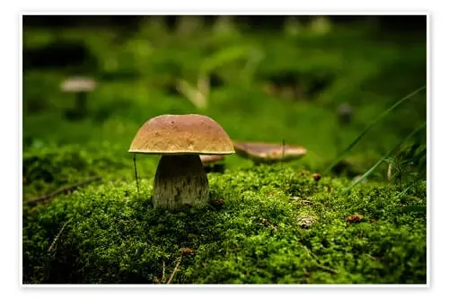 cep de Oliver Henze