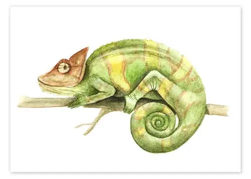 Chameleon de Nadine Conrad