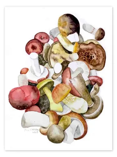 Champiñones de Jennifer McLennan