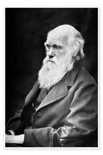 Charles Darwin de John Parrot Stocktrek Images
