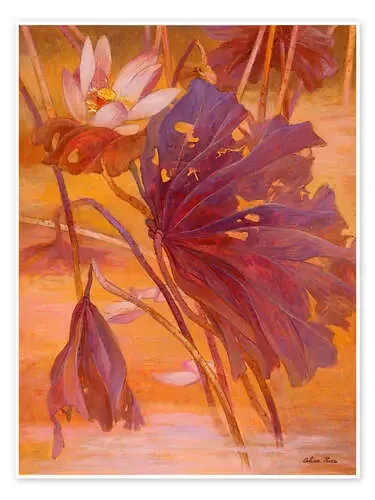 Charming de Ailian Price MGL Licensing