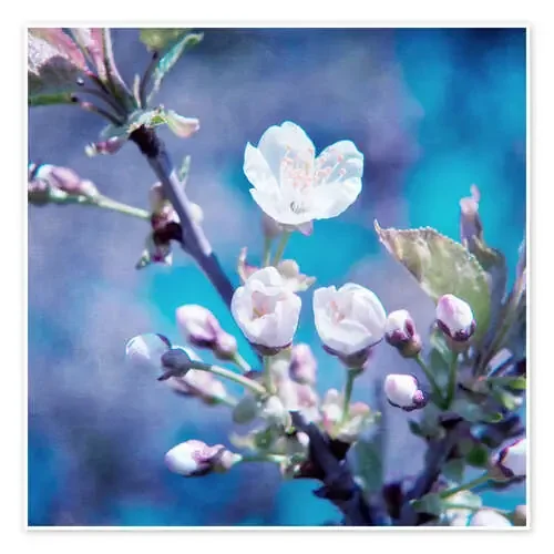 CHERRY BLOSSOM de INA FineArt