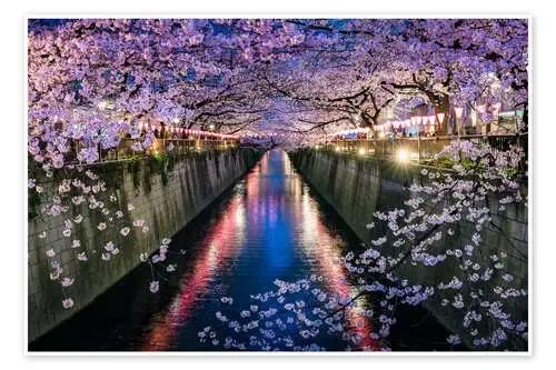 Cherry Blossom Festival in Nakameguro, Tokyo, Japan de Jan Christopher Becke