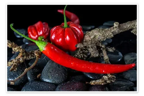 Chili & Habaneros – only red de Jürgen Seibertz