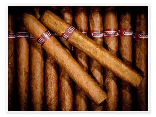 cigars Editors Choice