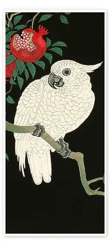 Cockatoo on a Pomegranate Tree de Ohara Koson Master Collection