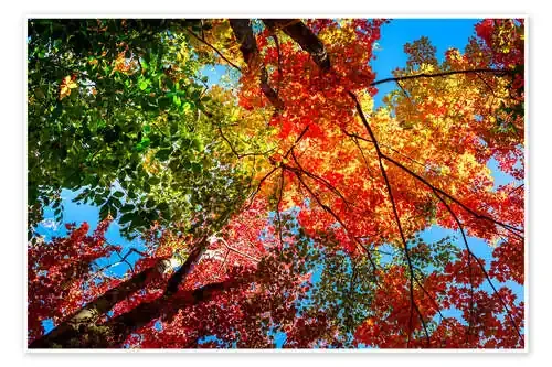 Colores del otoño II de Sascha Kilmer