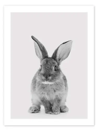 Conejito adorable de Animal Kids Collection Editors Choice