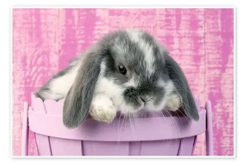 Conejo en un macetero rosa de Greg Cuddiford MGL Licensing