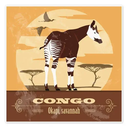 Congo – Okapi de Kidz Collection Editors Choice