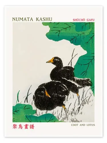 Coot & Lotus de Numata Kashu Exhibition Posters