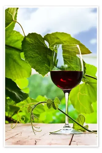 Copa con vino tinto en la viña Editors Choice