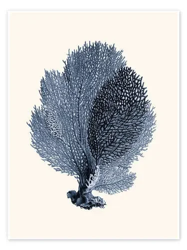 Coral azul, abanicos de Patruschka