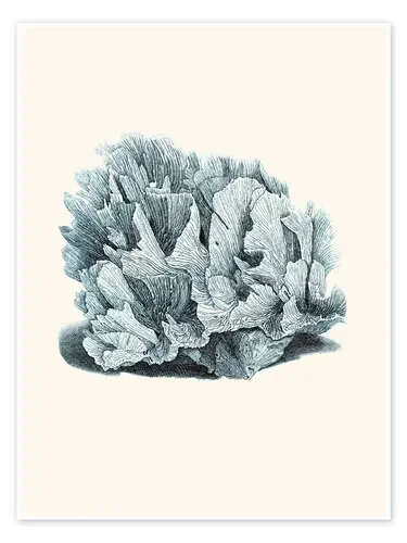 Coral gris de Patruschka