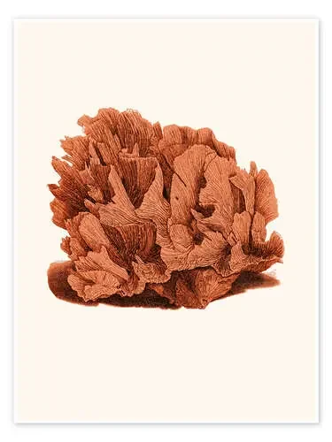 Coral rojo de Patruschka