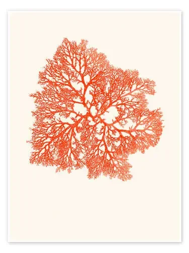 Coral rojo, ramificado de Patruschka