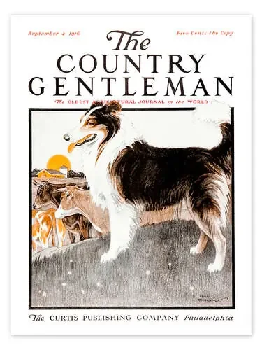 Country Gentleman (Dog) de Remsberg Design Pics